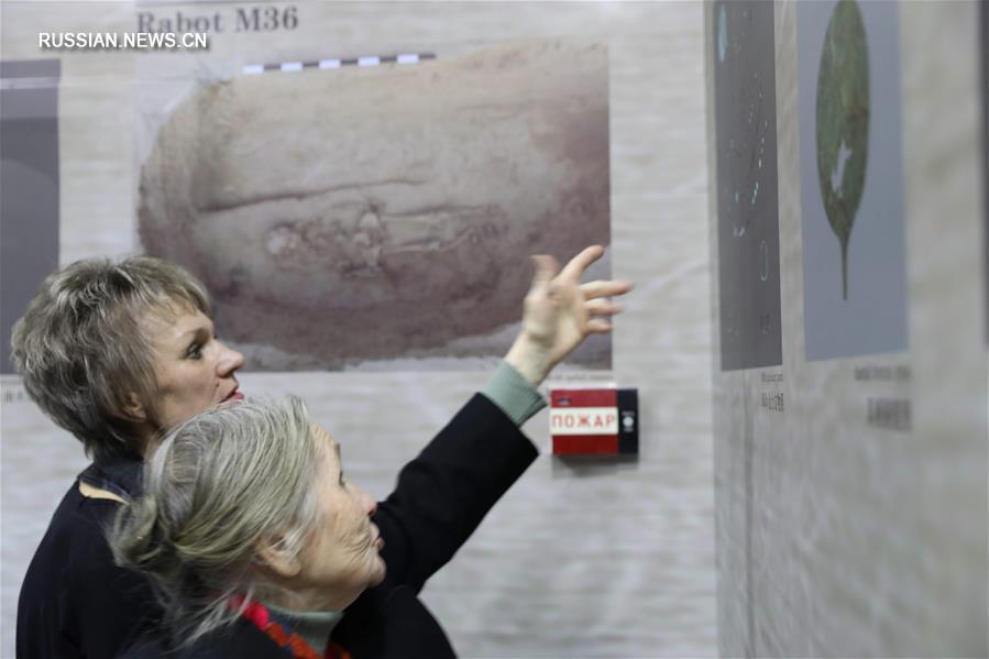 В Ташкенте открылась выставка находок китайско-узбекской археологической экспедиции