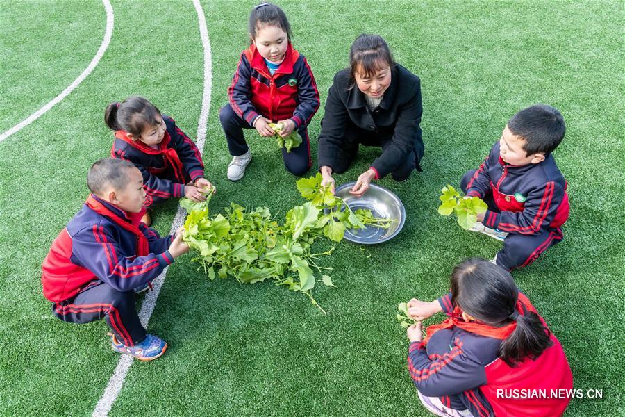 Первый день учебы в китайских школах