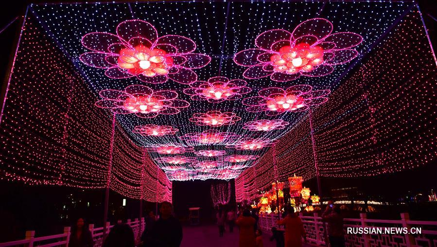 Ночная иллюминация садового ЭКСПО в Чжэнчжоу