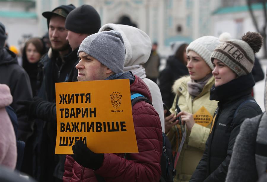 В Киеве прошла акция "Сними мех навсегда"