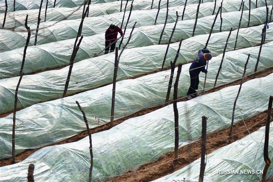 Крестьяне заняты сельхозработами в полях в разных районах Китая