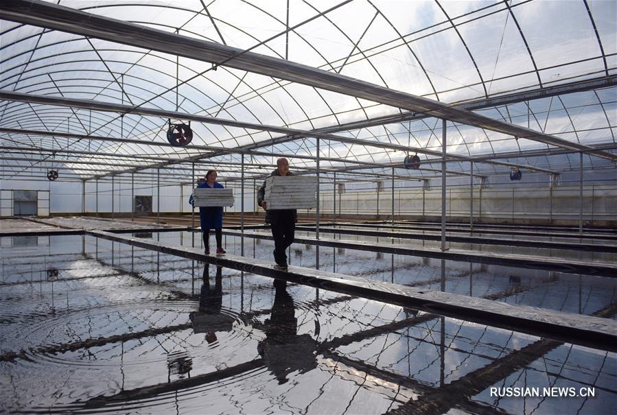 Крестьяне заняты сельхозработами в полях в разных районах Китая