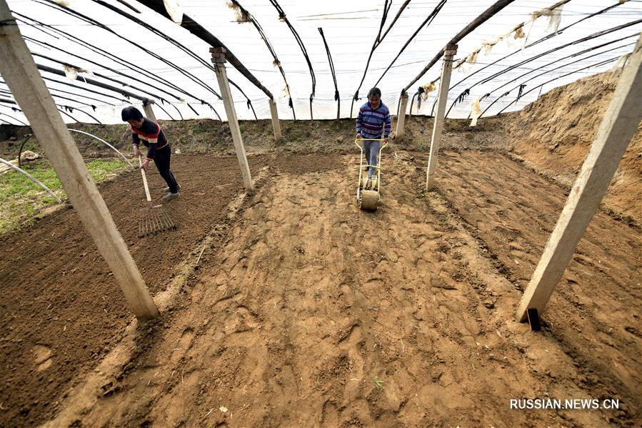 Крестьяне заняты сельхозработами в полях в разных районах Китая