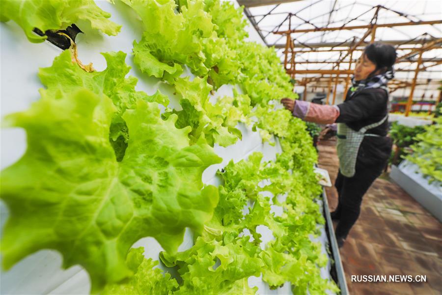 Крестьяне заняты сельхозработами в полях в разных районах Китая