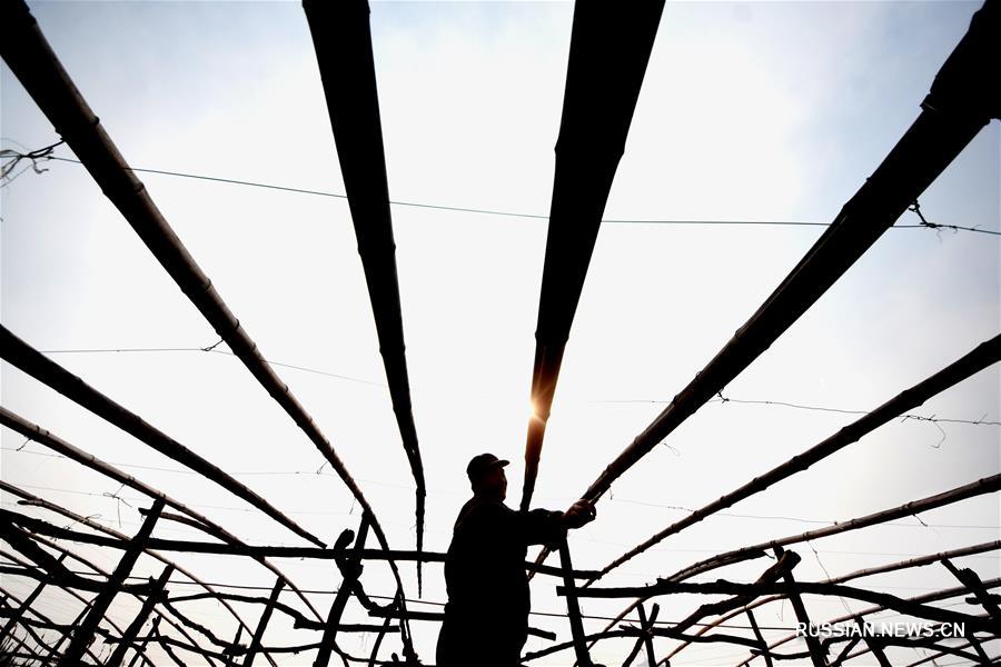 Крестьяне заняты сельхозработами в полях в разных районах Китая