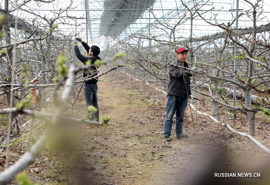 Весенние заботы фермеров в Китае