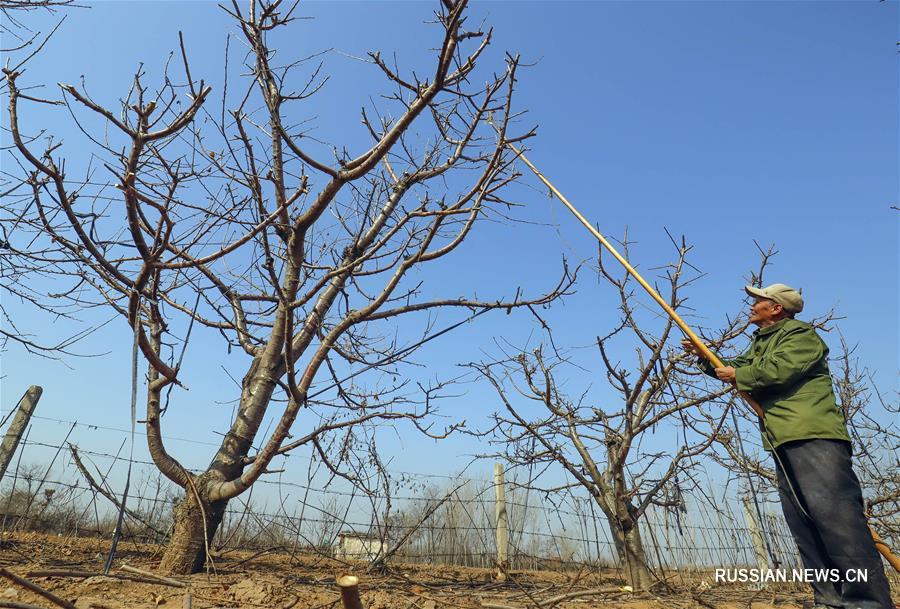 Весенние заботы фермеров в Китае