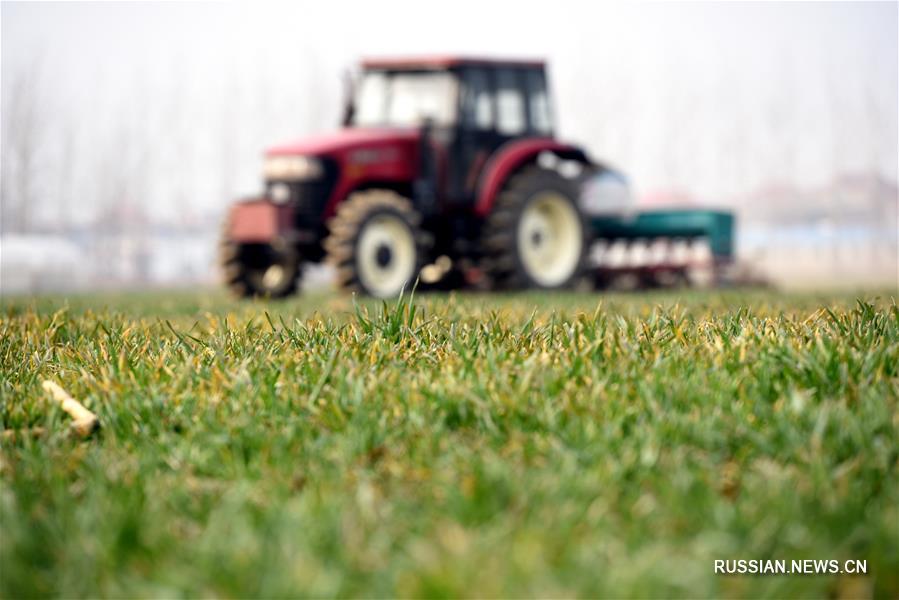Весенние заботы фермеров в Китае