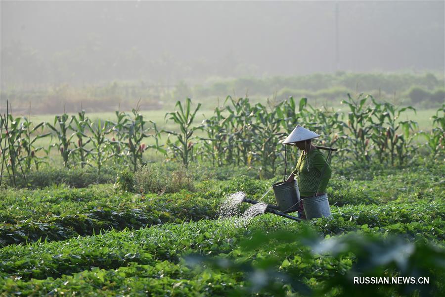 Весенние заботы фермеров в Китае