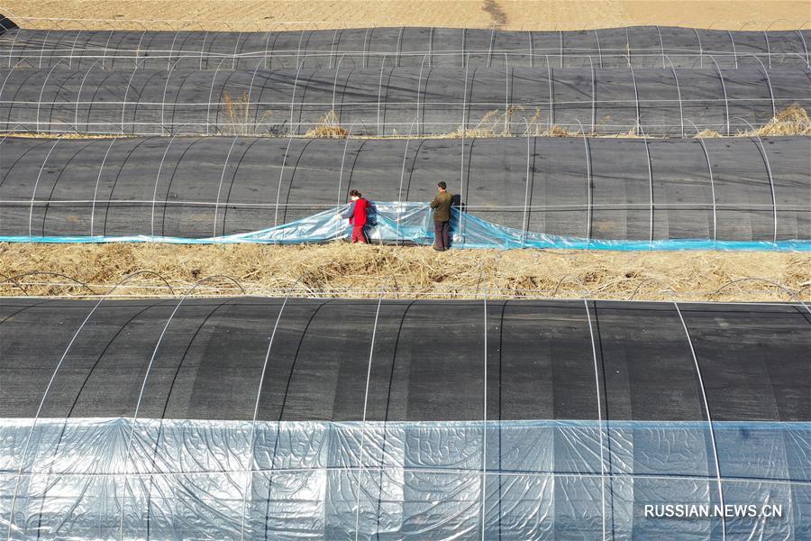 Весенние заботы фермеров в Китае