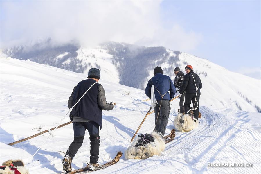 Возрождение старинных "снеговых досок" в округе Алтай