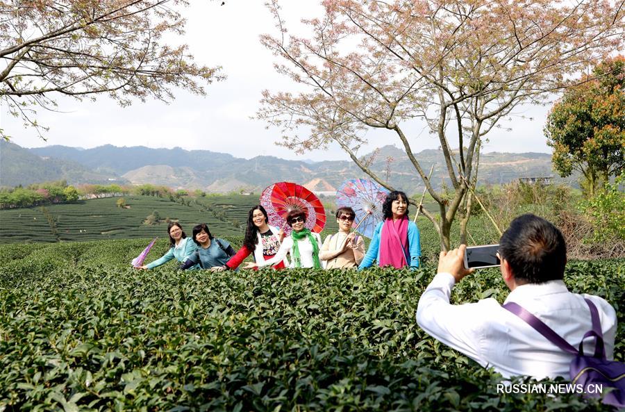 Живописные узоры на полях в провинции Фуцзянь  