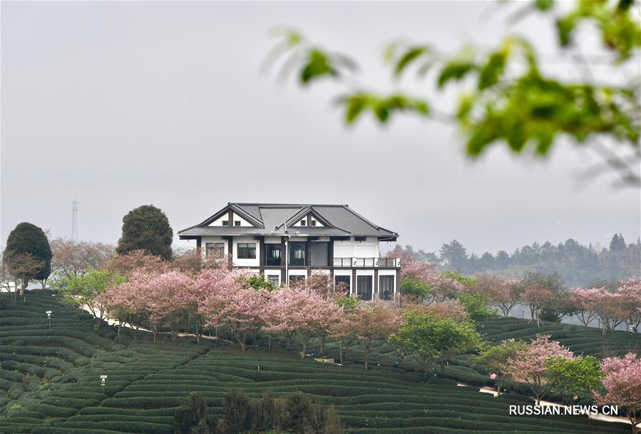 Живописные узоры на полях в провинции Фуцзянь  