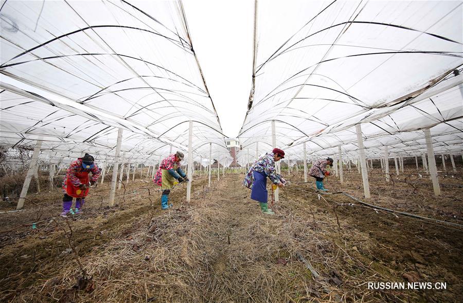 Весенние полевые работы в Китае