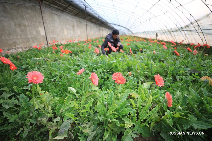 Весенние полевые работы в Китае