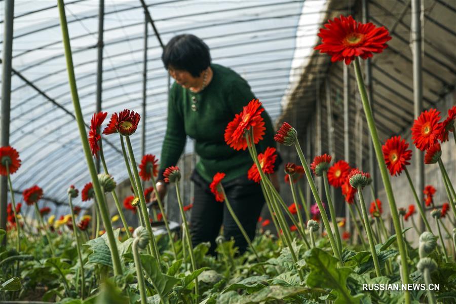 Весенние полевые работы в Китае