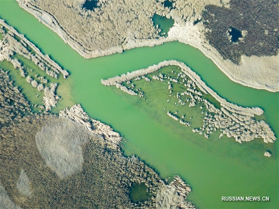 Вид с воздуха на водно-болотные угодья в устье реки Хуанхэ