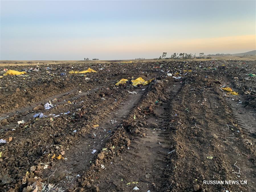 157 человек погибли в результате крушения самолета авиакомпании Ethiopian Airlines