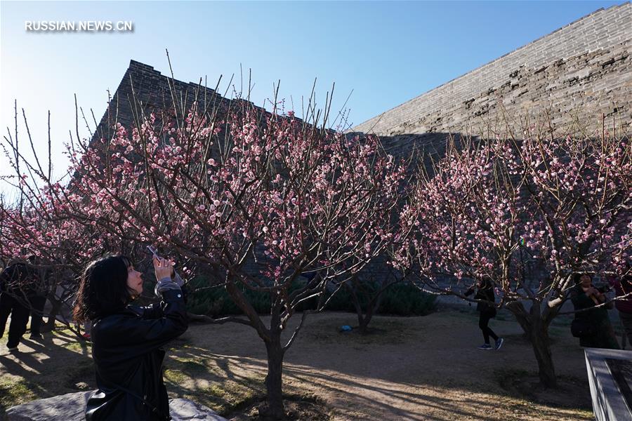 Благоухающие цветы в Китае