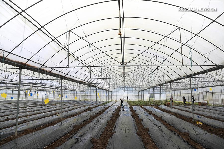 Весенние будни китайских крестьян