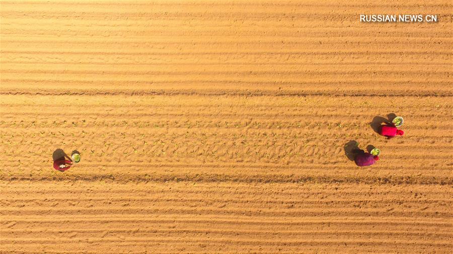 Весенние будни китайских крестьян