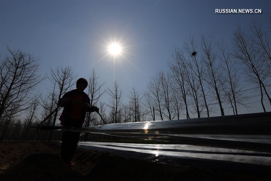 Весенние будни китайских крестьян