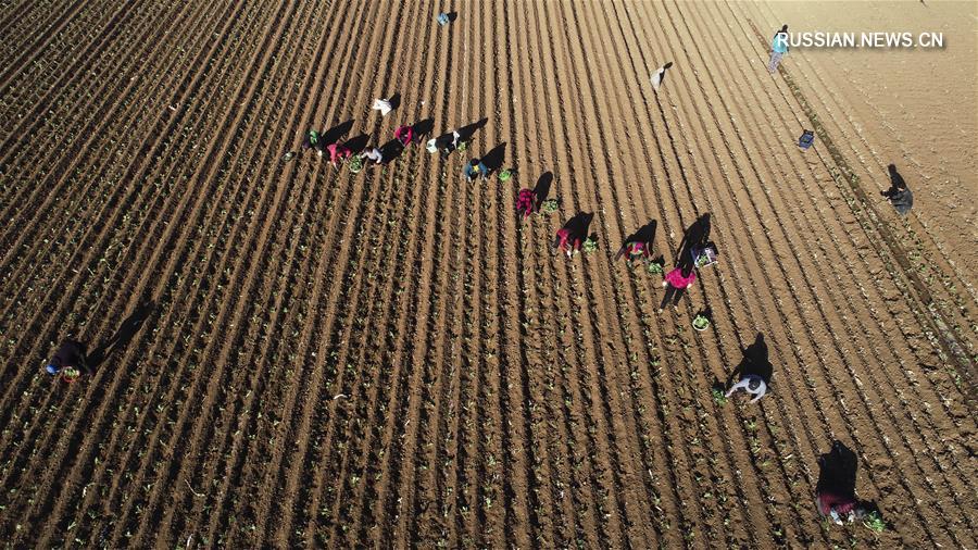 Весенние будни китайских крестьян
