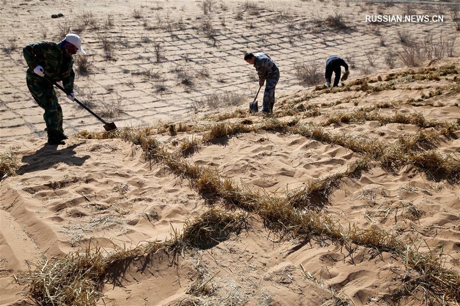 Борьба с опустыниванием в уезде Линьцзэ