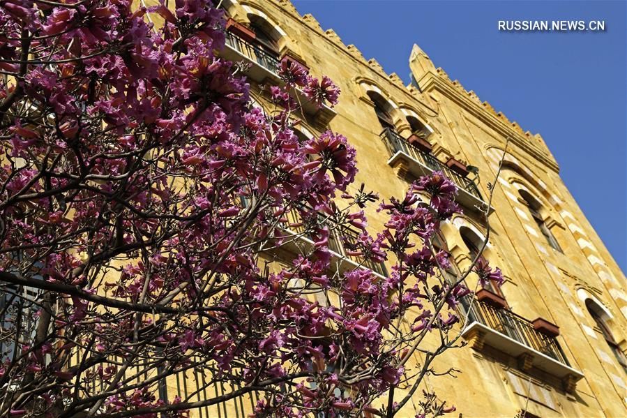 Бейрут весной