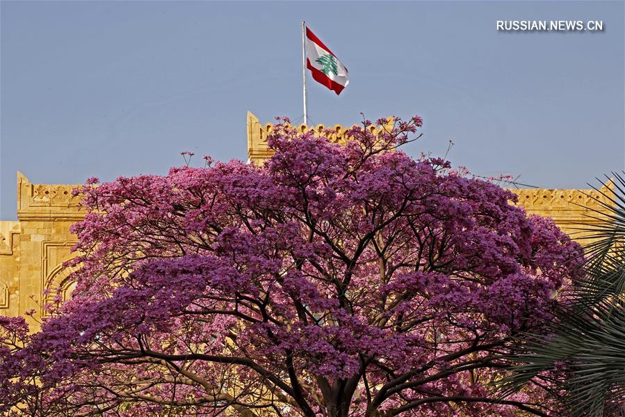 Бейрут весной