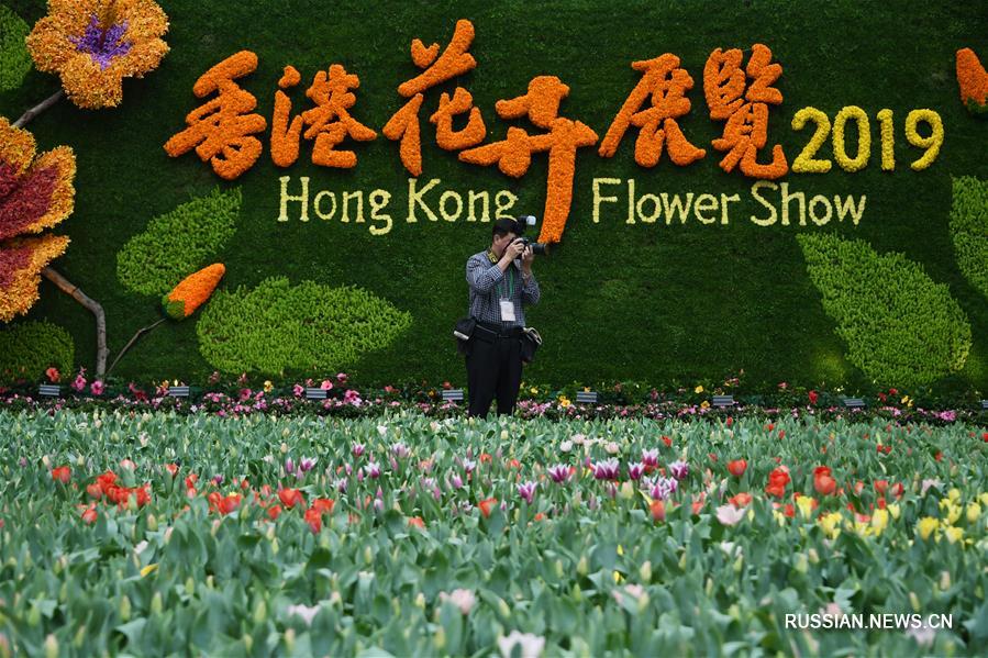 В Сянгане открывается цветочная выставка
