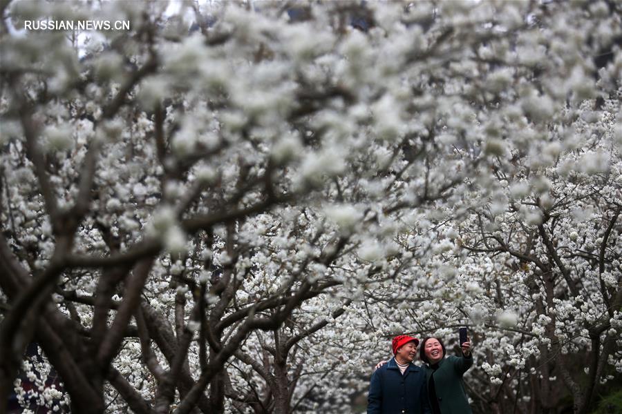 Весенний день в Китае