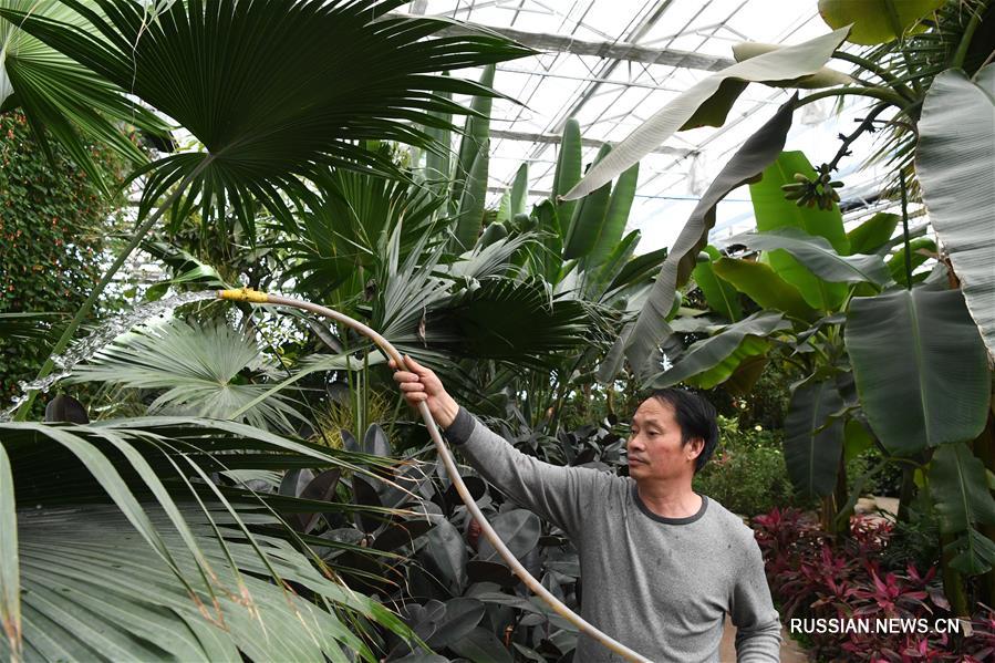 Ботанический сад в Синьцзяне ждет туристов 