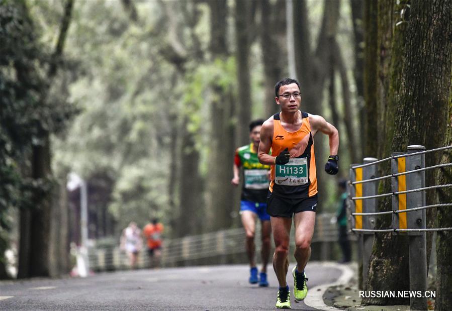 Легкая атлетика -- Цзиньюньшаньский горно-лесной марафон 2019 в Чунцине