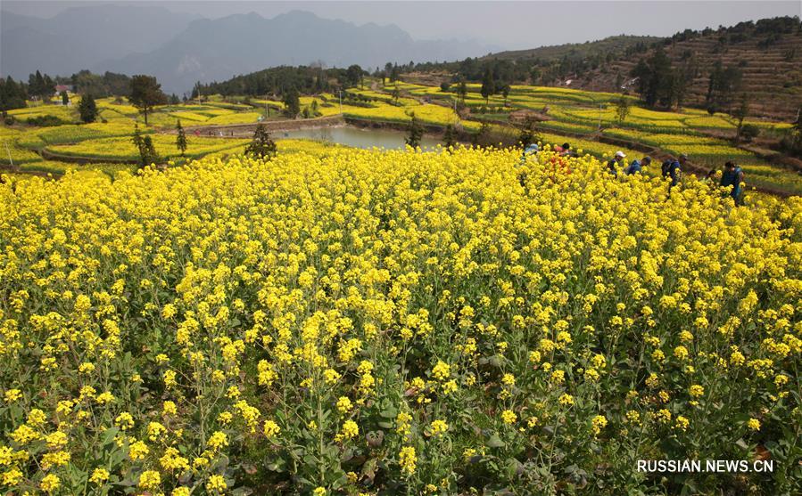 Весенние прогулки на свежем воздухе
