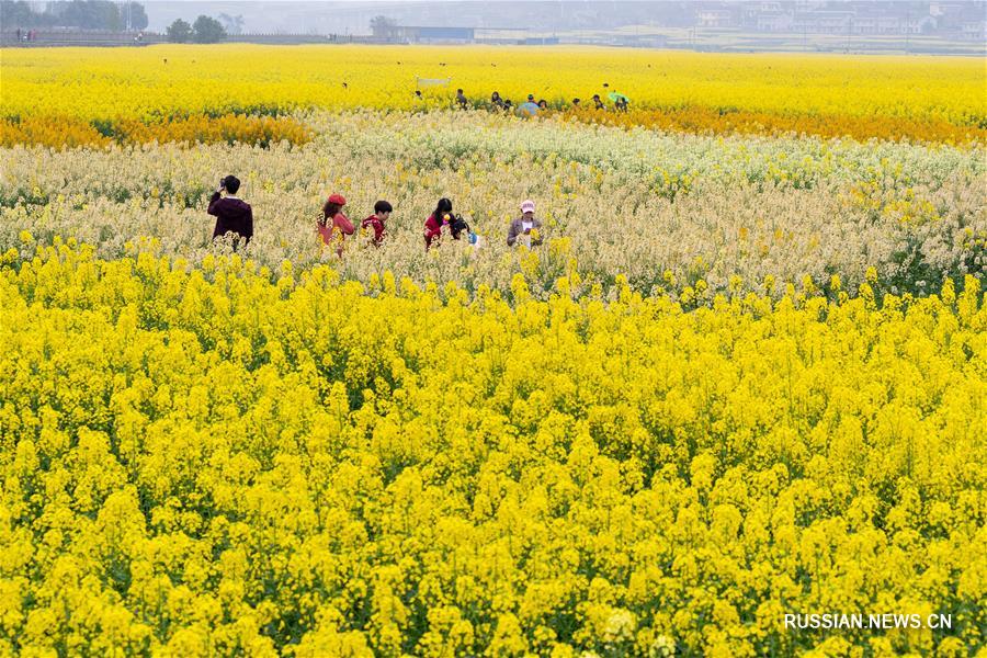 Весенние прогулки на свежем воздухе