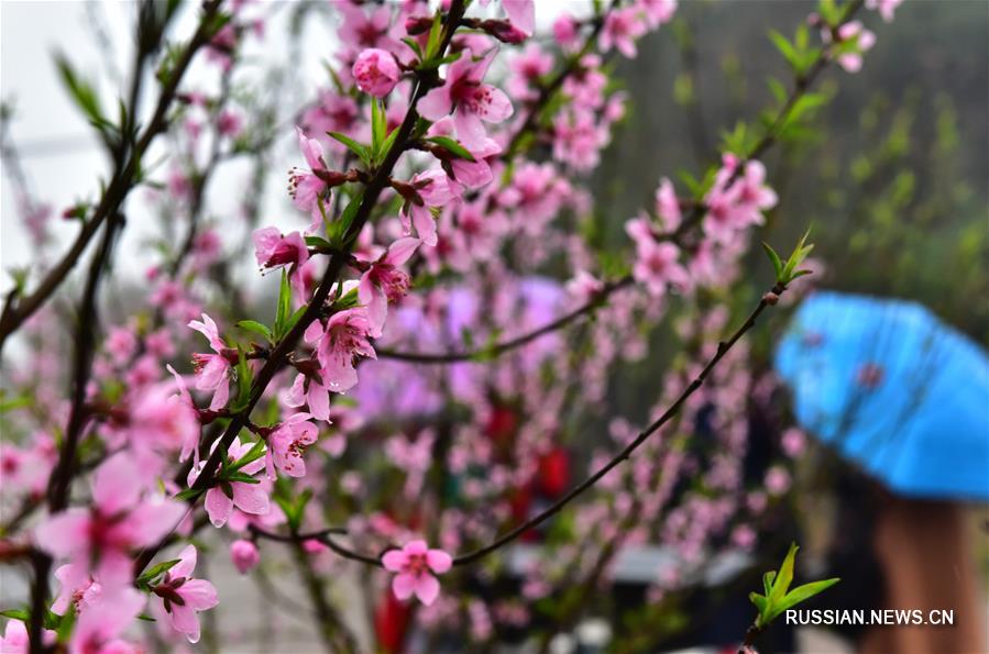 Весенние прогулки на свежем воздухе