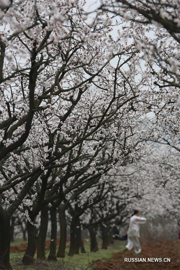 Весенние прогулки на свежем воздухе