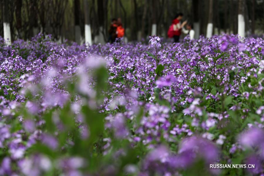 Весенние прогулки на свежем воздухе