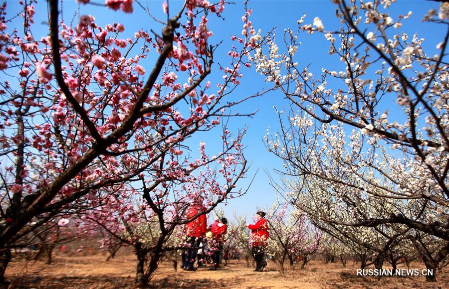 Весенние прогулки на свежем воздухе