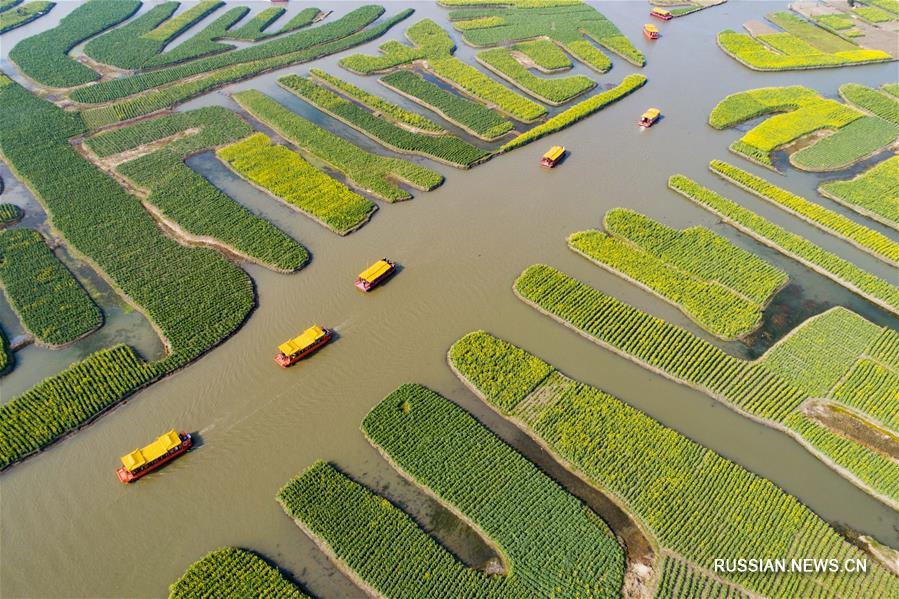 Весенние прогулки на свежем воздухе