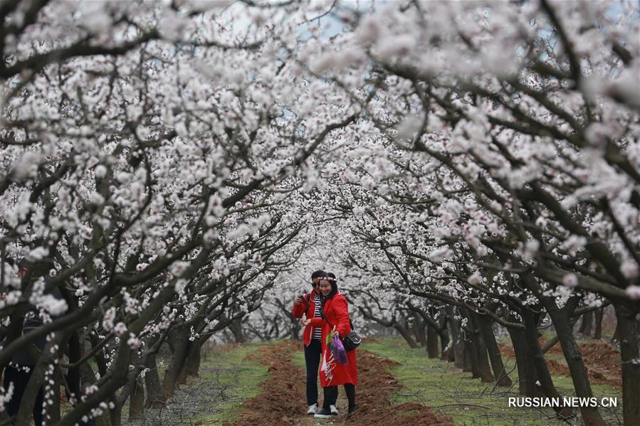 Весенние прогулки на свежем воздухе
