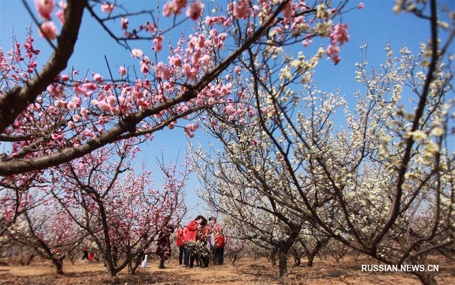Весенние прогулки на свежем воздухе