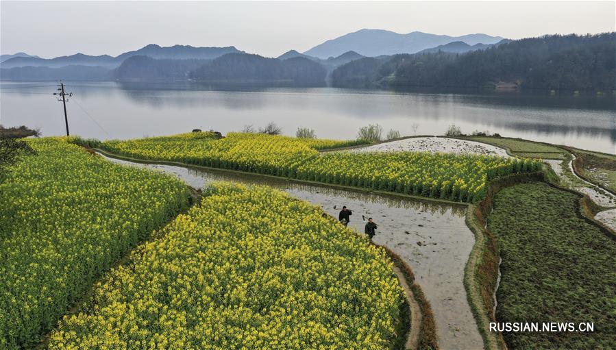 Ароматы весны в провинции Шэньси