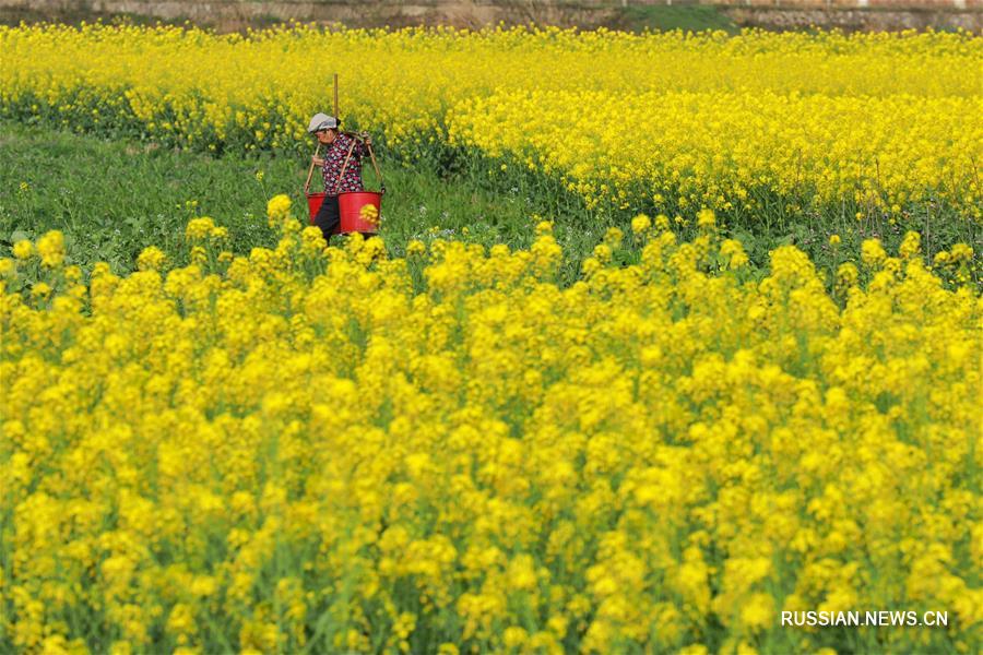 Полевые работы китайских крестьян за день до весеннего равноденствия