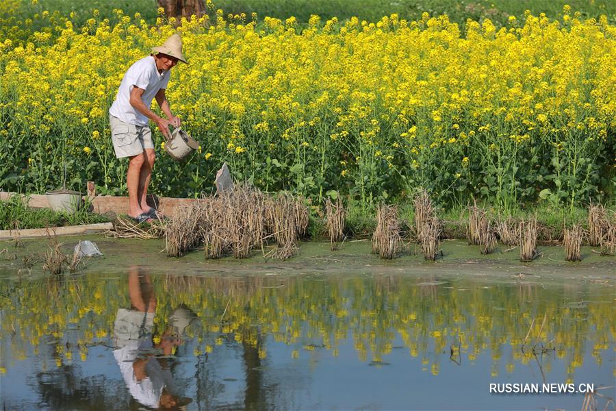 Полевые работы китайских крестьян за день до весеннего равноденствия