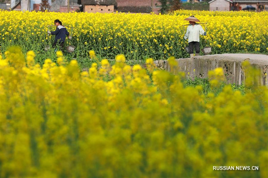Полевые работы китайских крестьян за день до весеннего равноденствия