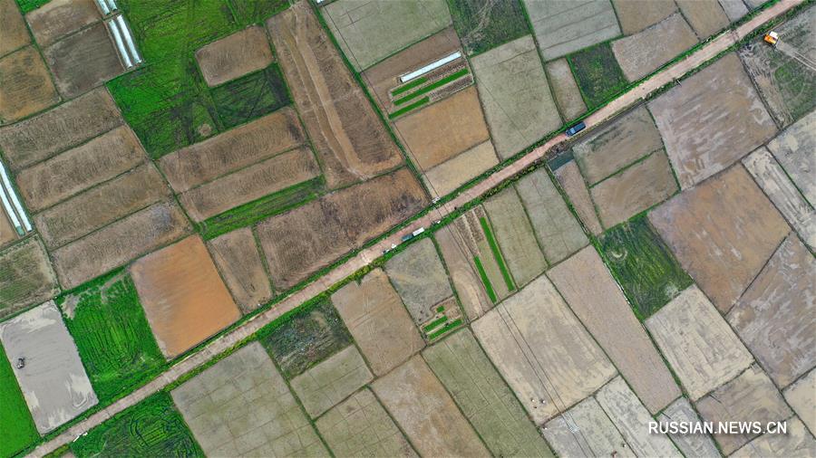 Полевые работы китайских крестьян за день до весеннего равноденствия