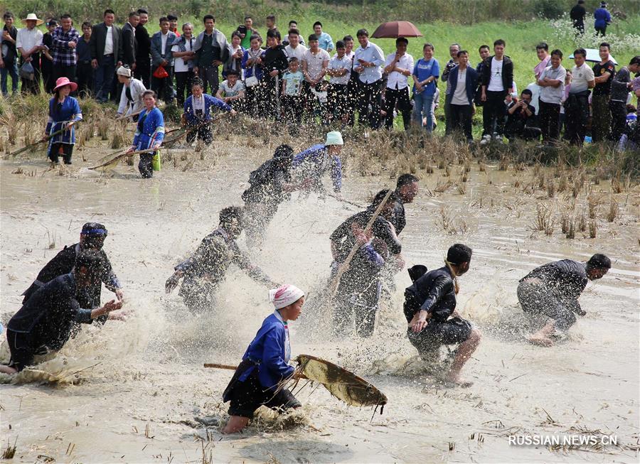 Весенний праздник в провинции Гуйчжоу  