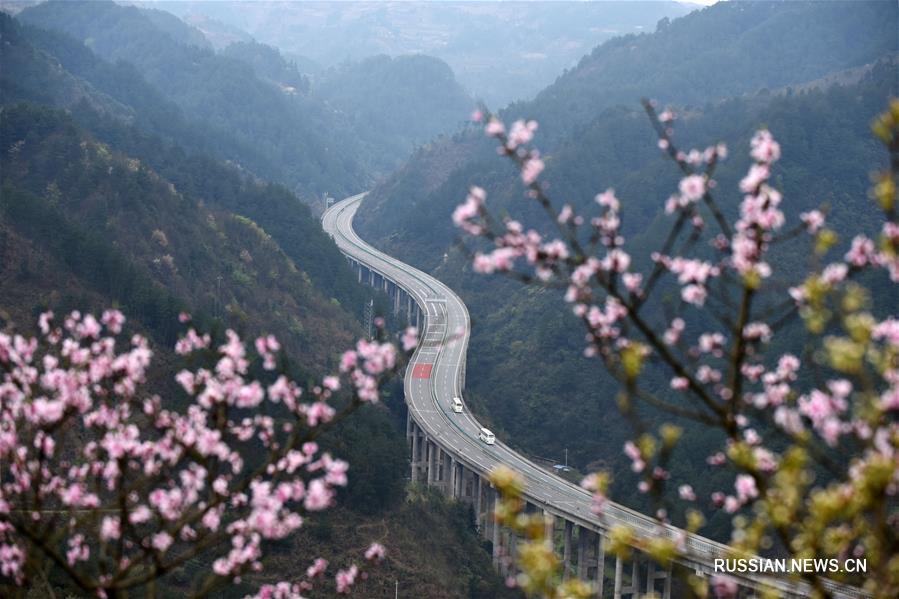 Цветение персиков и груш у скоростного шоссе в провинции Гуйчжоу 